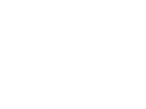 IGEL_Logo_weiss_transparent